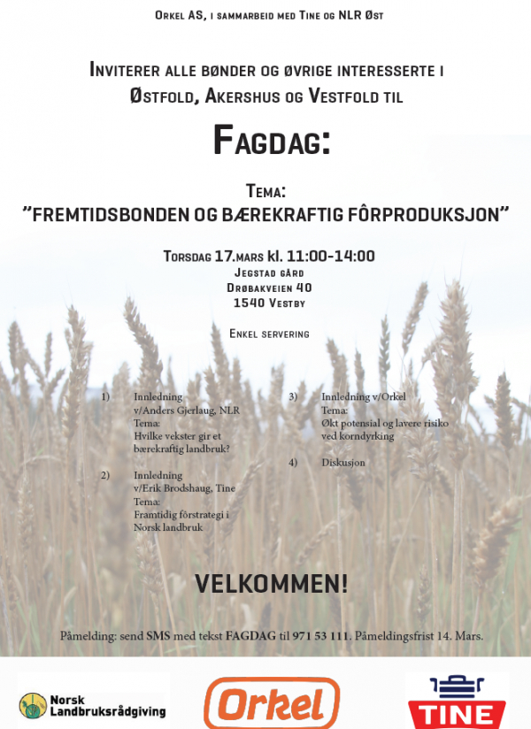 Fagdag 17.mars